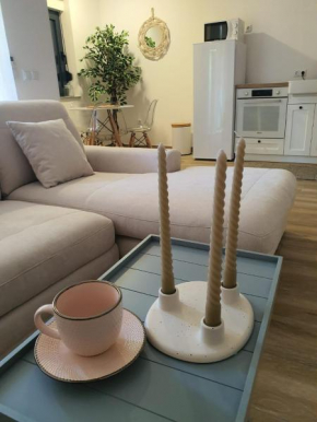 Apartman SIMON-CENTAR